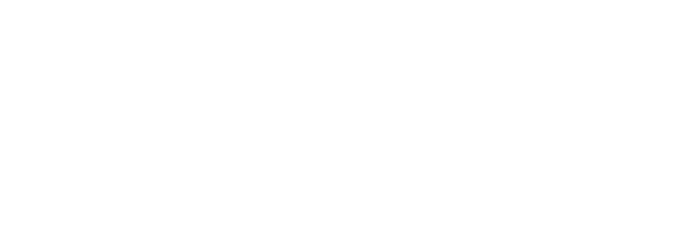 Logo Nomos