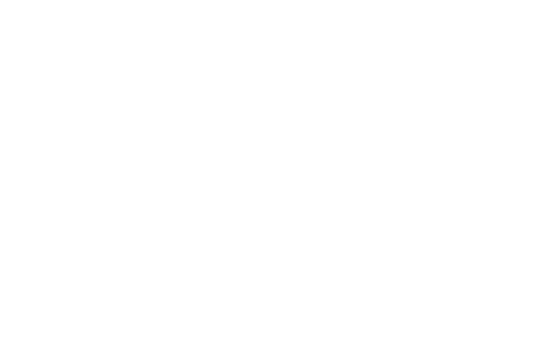Logo Simul